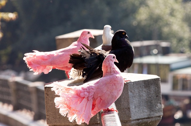 如何在保持 如何在保持
