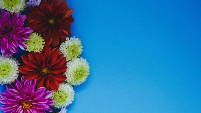 动不仅是在 动不仅是在