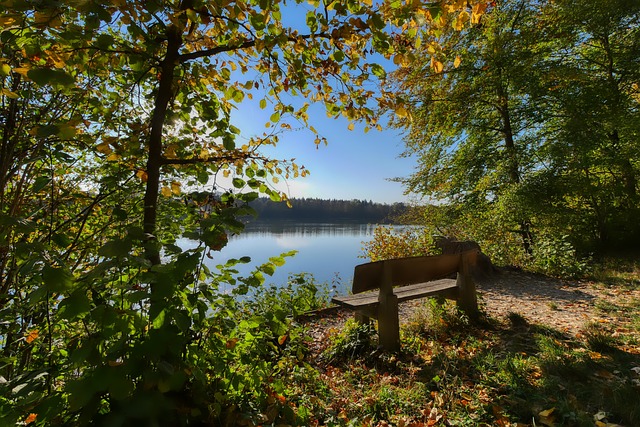 赛场多样性 赛场多样性