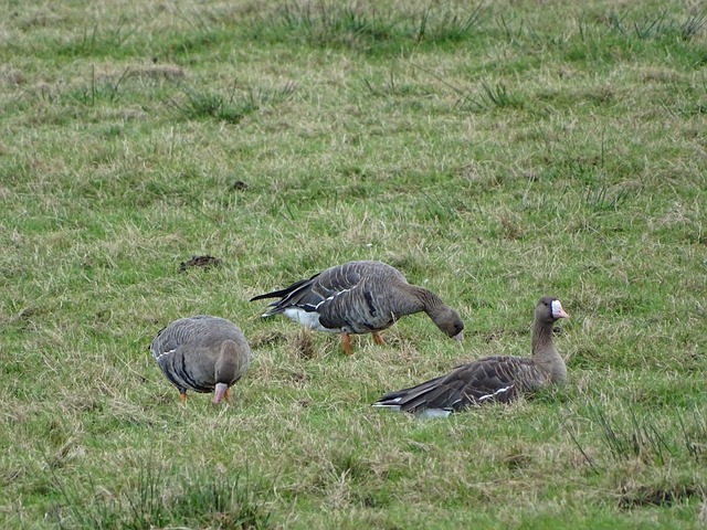 为城市可持 为城市可持