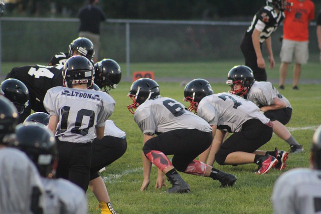 的明星时刻 的明星时刻