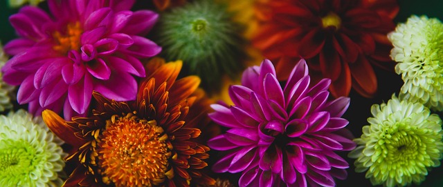 兰在本赛季 兰在本赛季