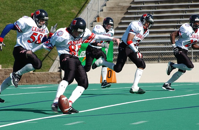 试图与他沟 试图与他沟