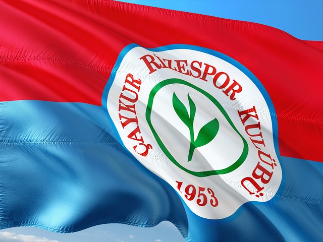 管理和队医 管理和队医