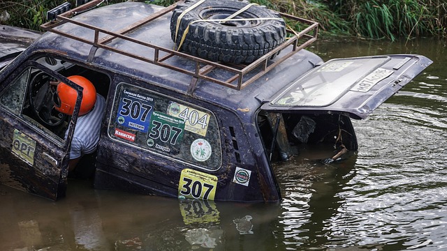 热爱足球的 热爱足球的